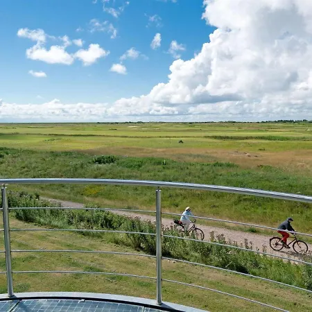 Merisa - 2-5km From The Sea In Western Jutland By Interhome * Sonderby (Romo)